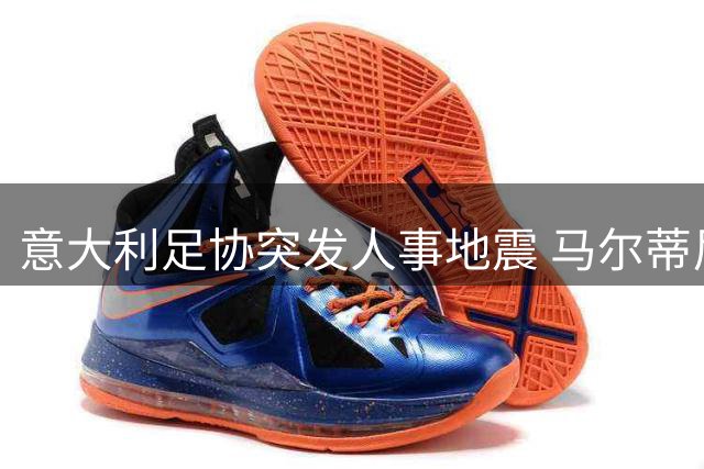 意大利足协突发人事地震 马尔蒂尼莱昂纳多闪电辞职
