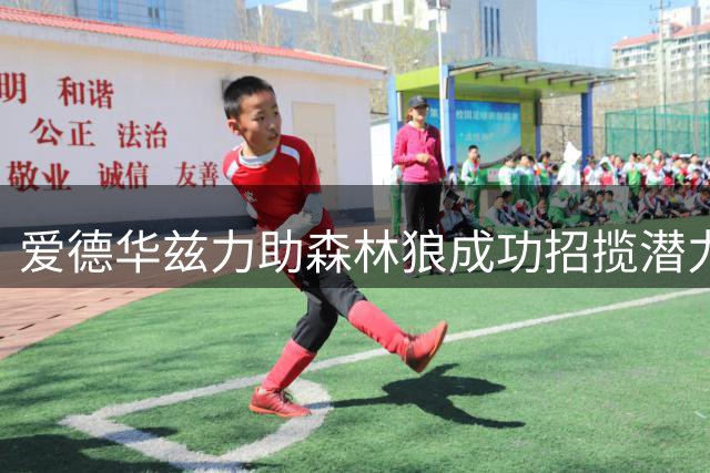 爱德华兹力助森林狼成功招揽潜力新星库明加